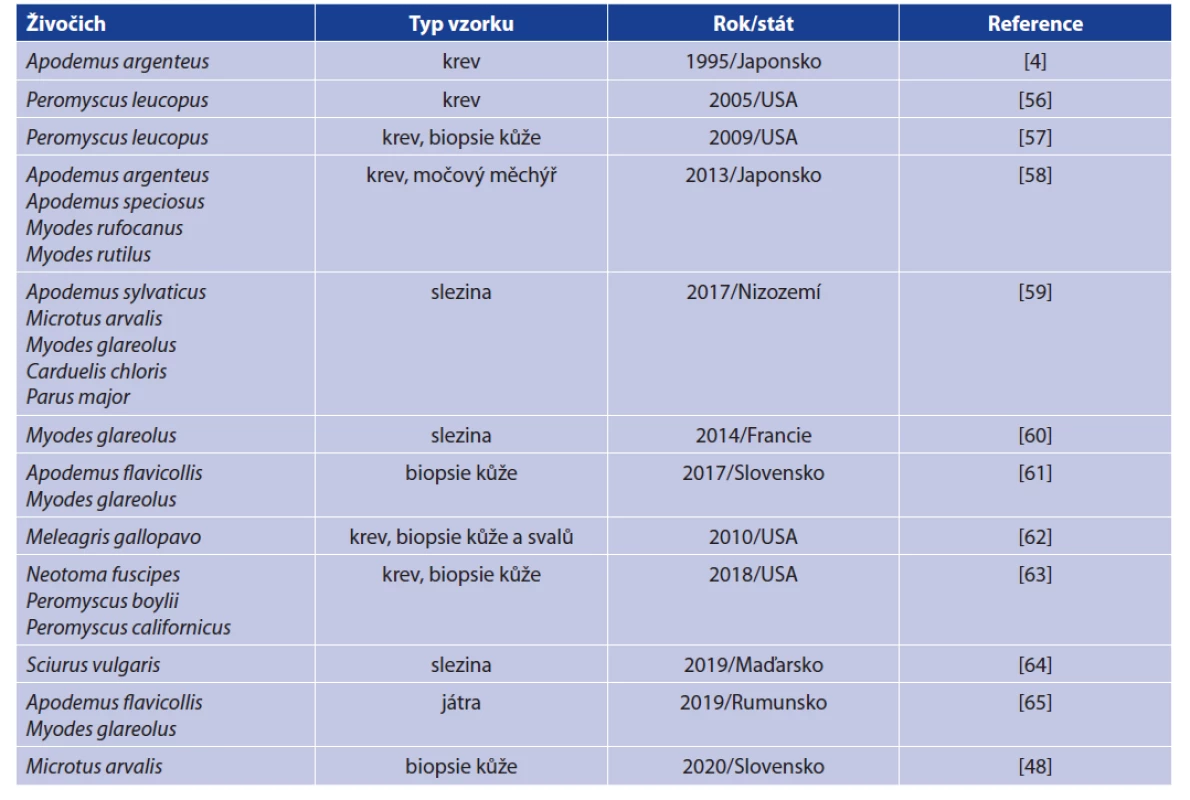 Přehled obratlovců, ve kterých byla B. miyamotoi dosud detekována<br>
Table 2. Detections of B. miyamotoi in vertebrate hosts