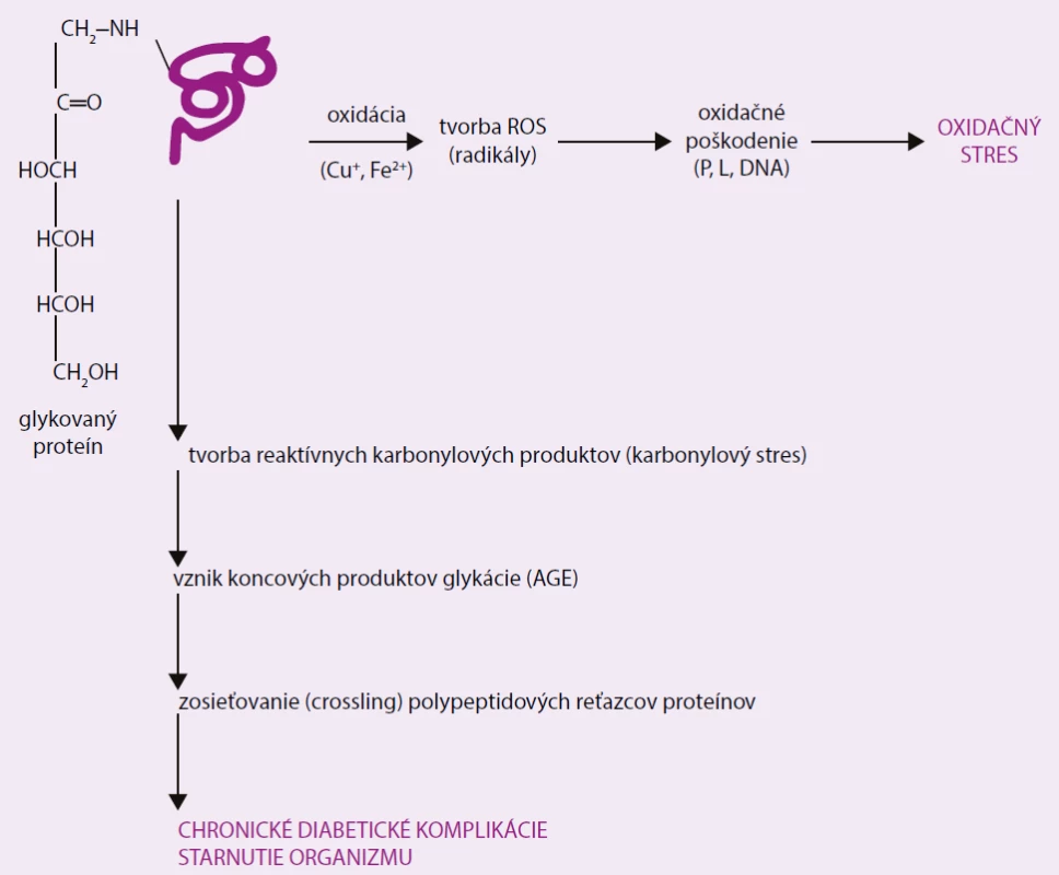 Účinok AGEs v patogenéze chronických diabetických komplikácií