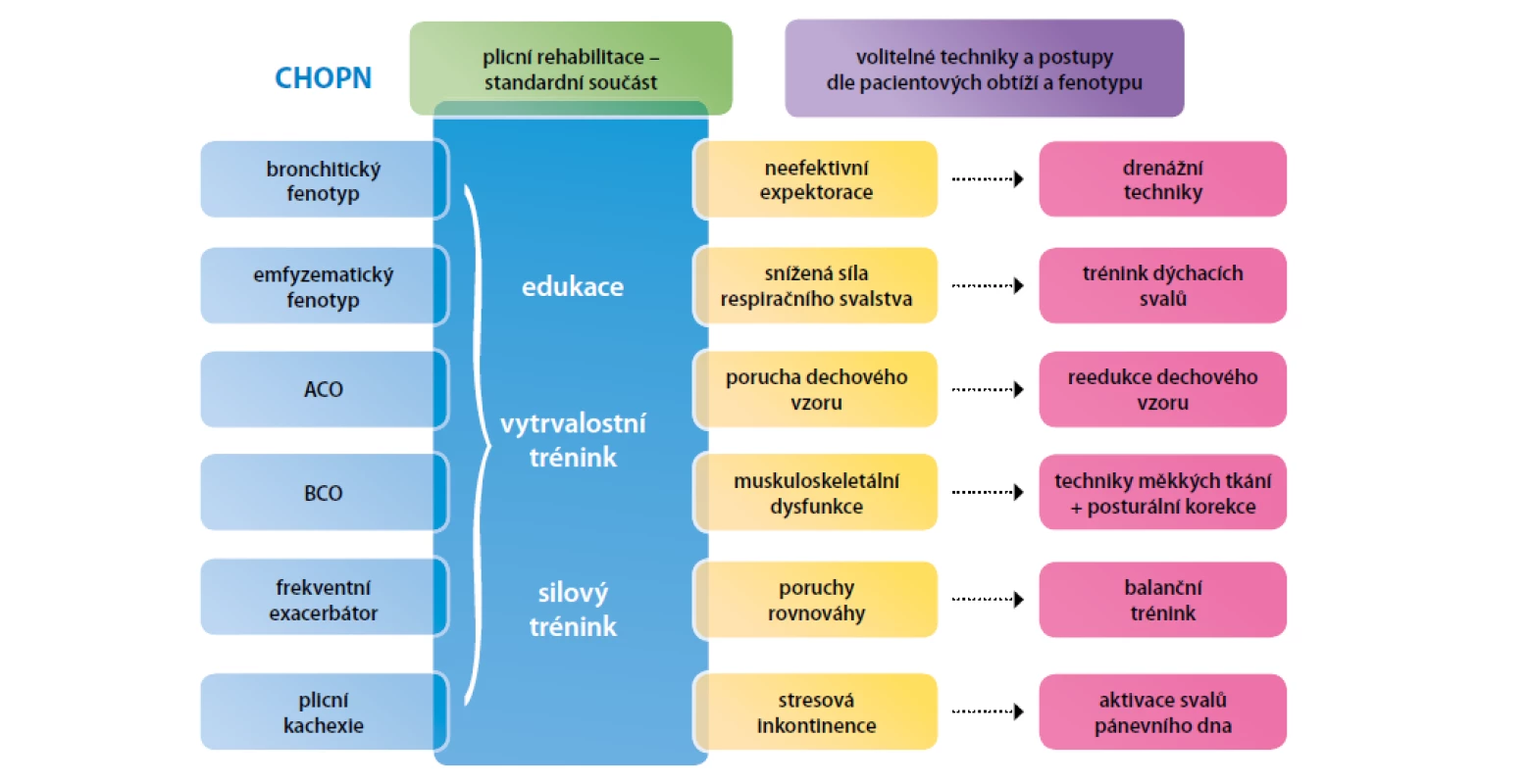 Základní a fenotypově-specifické techniky fyzioterapie používané v léčbě CHOPN