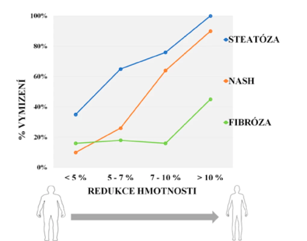 Vztah redukce tělesné hmotnosti a zlepšení
histopatologického nálezu pacientů s NAFLD
(modifikováno dle: 23, 34)
