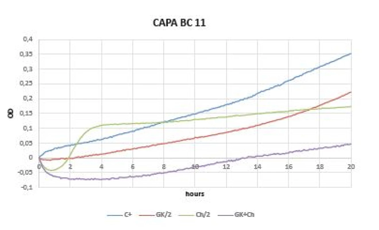 Optical (OD) measurement dynamics within 20 hours
in <i>Candida parapsilosis</i> BC 11 strain
Curves (C+ control, GK/2 Gum Karaya in double dilution, Ch/2
chitosan in double dilution, GK+Ch Gum Karaya and chitosan
mixture)