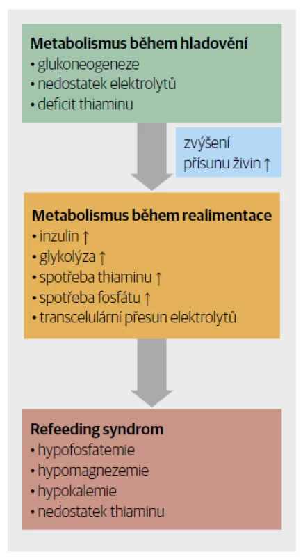 Patofyziologie refeeding syndromu.