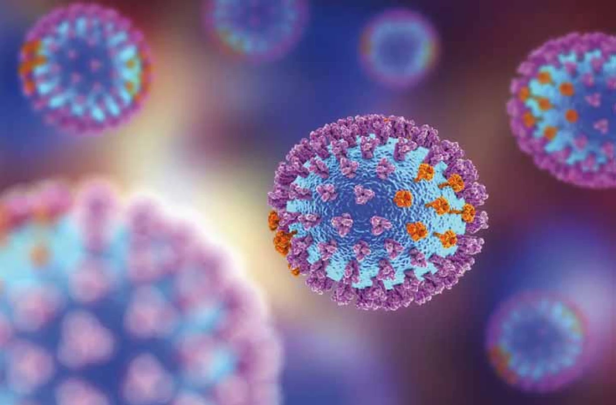 Virus chřipky. 3D ilustrace ukazující povrch glykoproteinové hroty hemaglutininu
fialové a neuraminidázy oranžové. Zdroj: shutterstock.com.