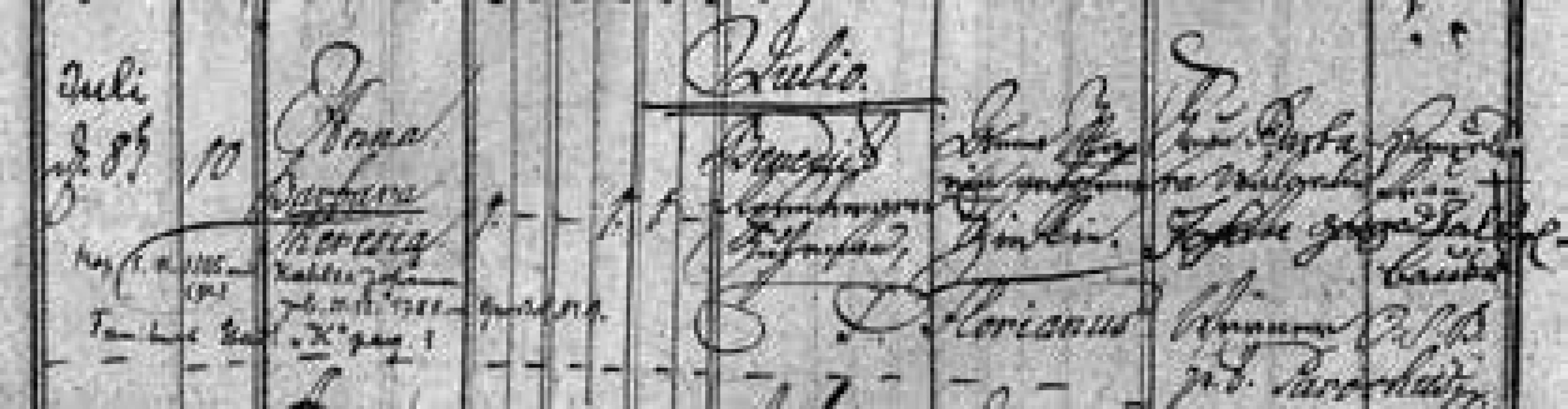 Zápis křtu Josefovy matky Anny Barbary
Theresie Rosenbergerové (1786)