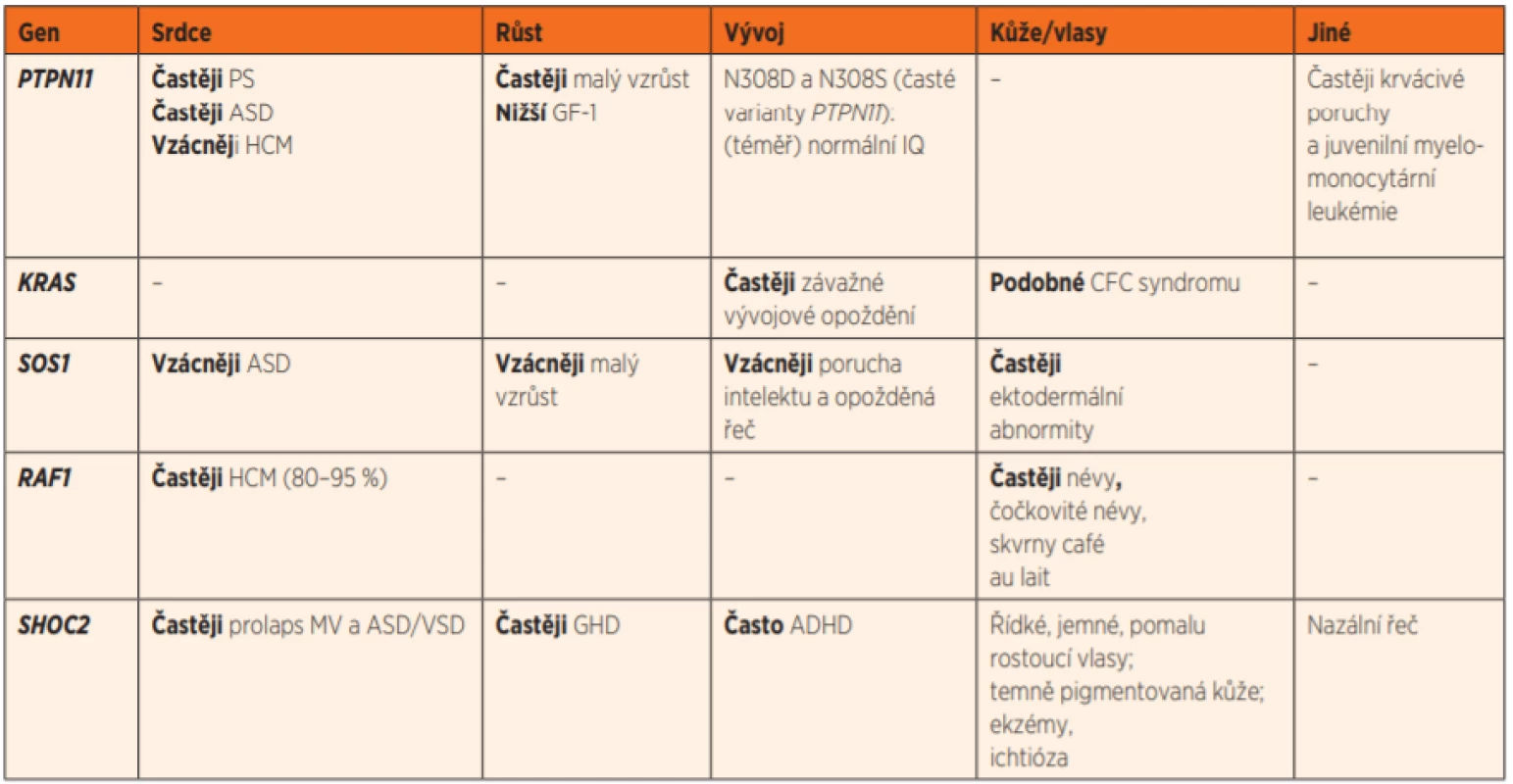 Některé příznačné korelace mezi genotypem a fenotypem u RASopatií/syndromu Noonanové. (Upraveno dle [6, 7, 14])