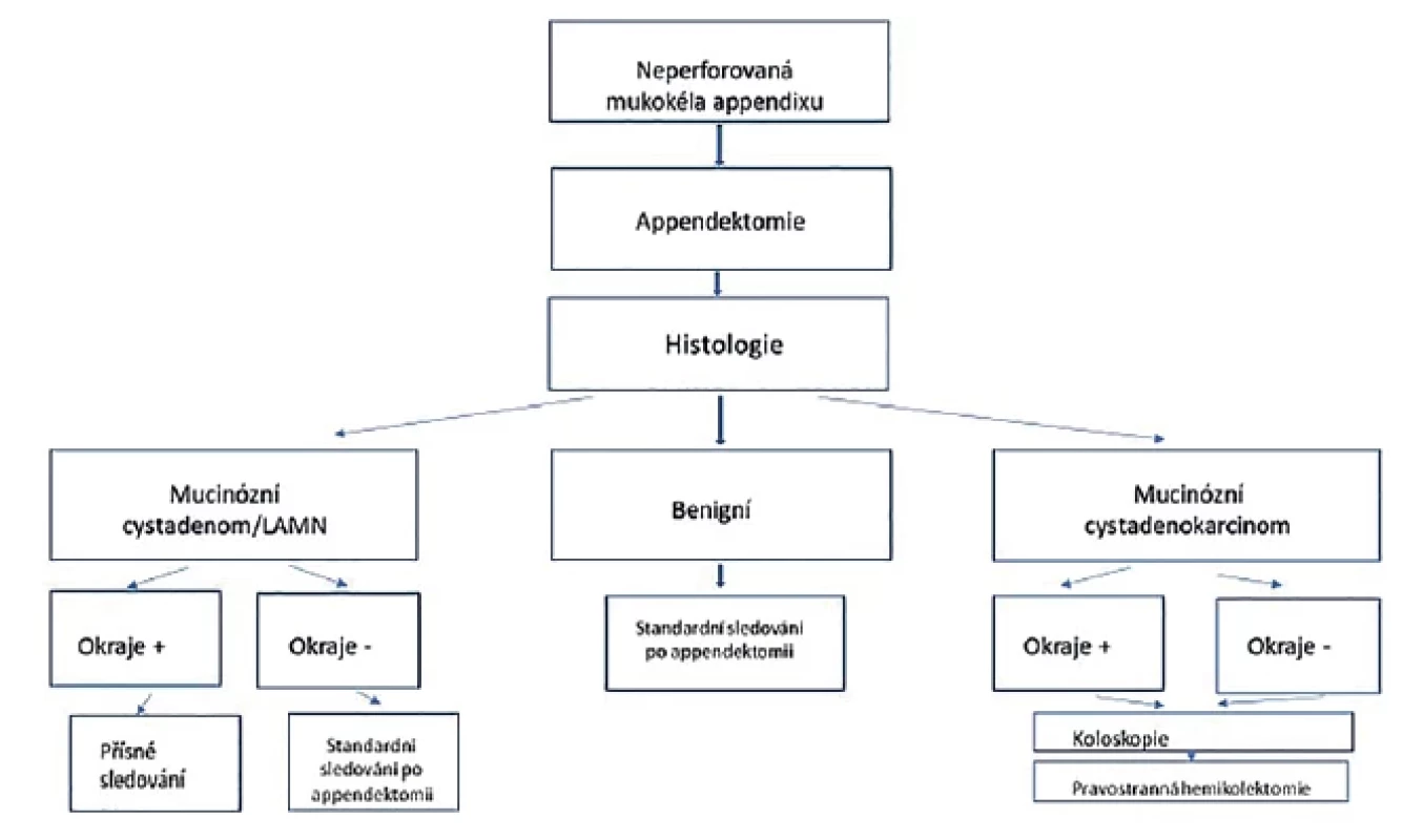 Flow-chart léčebného postupu v případě nálezu neperforované mukokély apendixu <br> 
Fig. 4. Flow-chart for the management of a non-perforated appendiceal mucocele