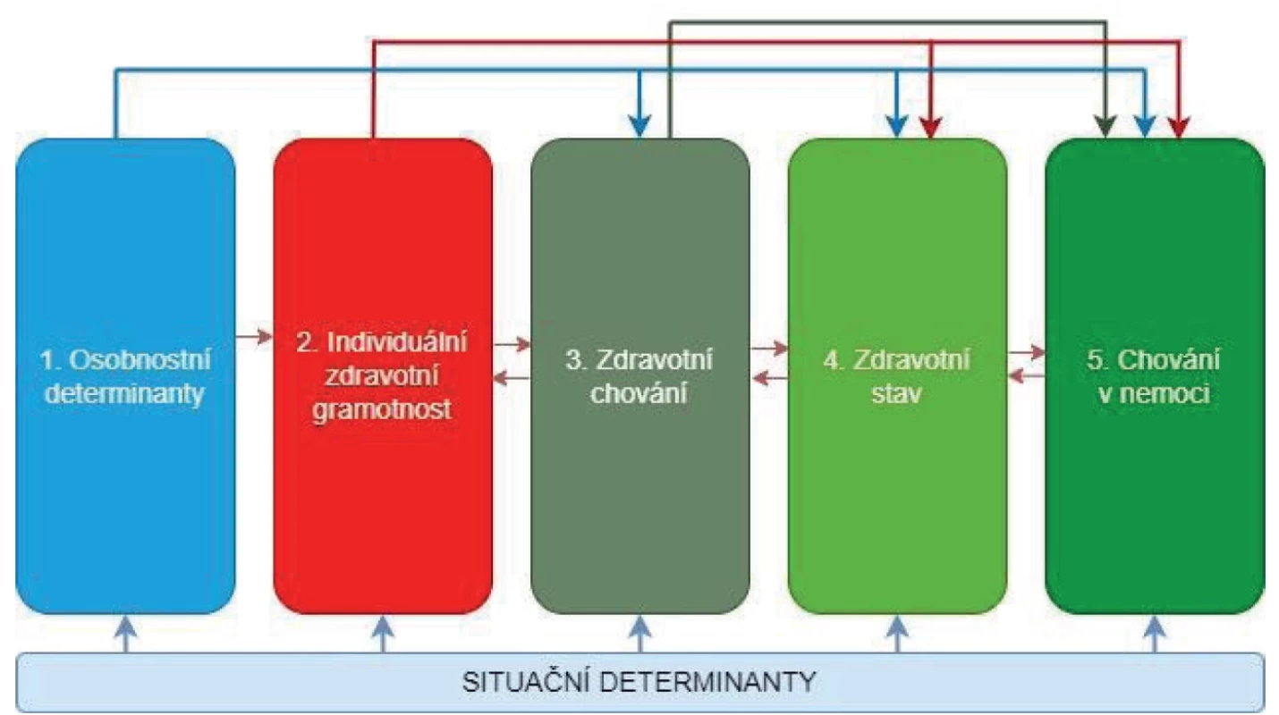 Vídeňský model zdravotní gramotnosti definující hlavní determinanty a konsekvence zdravotní gramotnosti