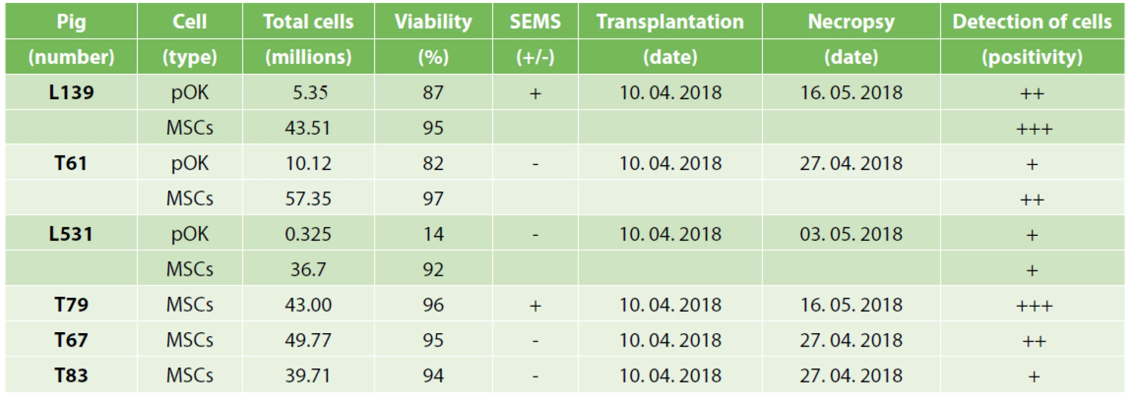 Total cell numbers and viabilities of MSCs or pOKs in experimental animals, SEMS presence, and the date of transplantation
and necropsy with final positivity detection of tracked cells in ESD sites tissue
