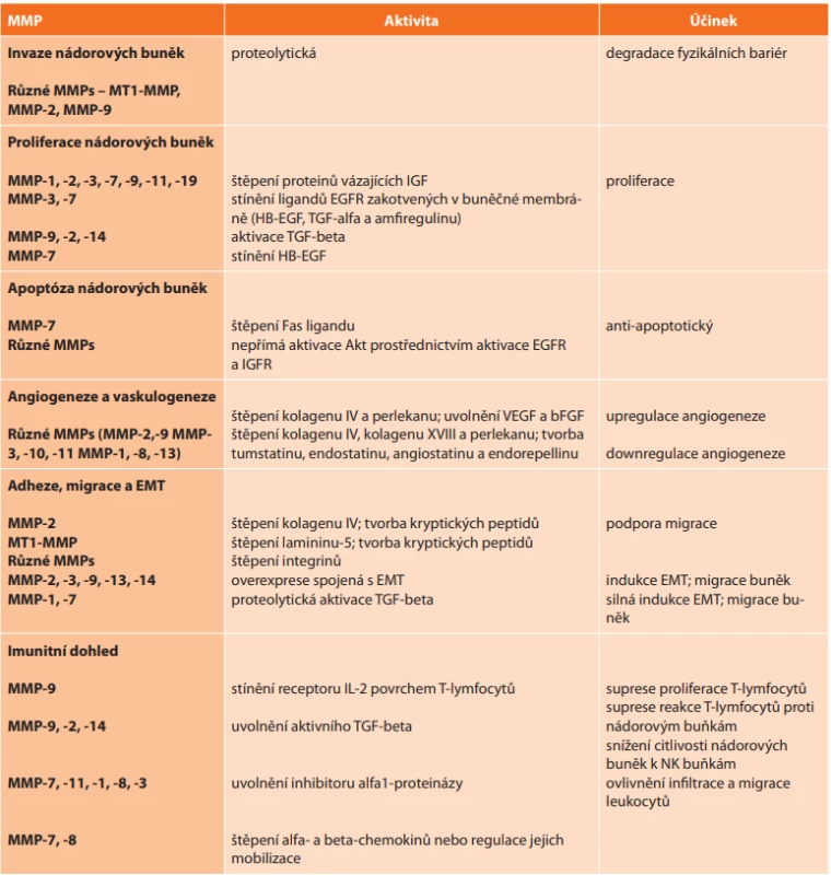  Klíčové MMPs ve vztahu k jednotlivým stadiím progrese nádoru, jejich aktivita a účinek (upraveno podle [12])<br>
Tab. 2: Key MMPs in the corelation with each stages of tumor progression, their activity and effect (modified according to
[12])