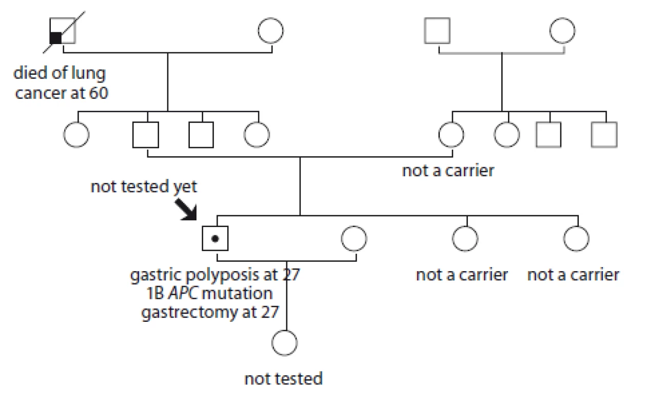 Pedigree of family no. 7 (Masaryk Memorial Cancer Institute).