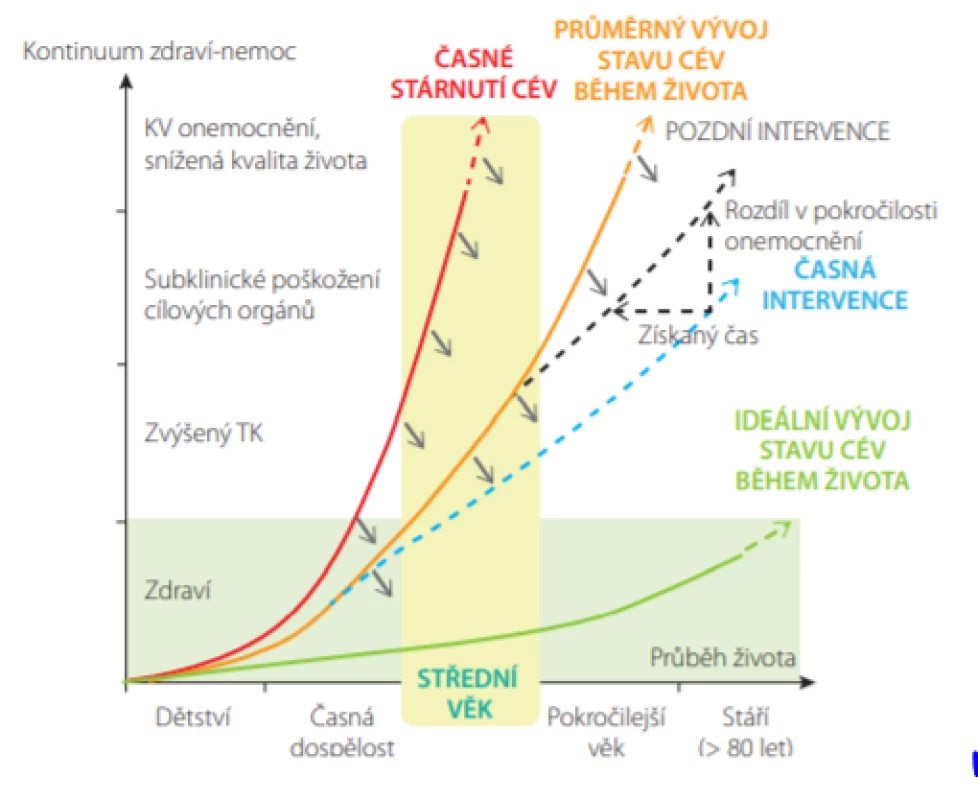 Účinky preventivních opatření v ovlivnění celkového KV rizika. U jedinců s časným cévním stárnutím (zelená čára) dojde k rozvoji KV komplikací
dříve v životě. Zelená čára představuje optimální nebo ideální životní cyklus
u jedinců, u kterých nedojde ke vzniku KV komplikací vůbec nebo tak pozdě,
že nevedou k podstatnému ovlivnění kvality života. Preventivní opatření
vedou k posunu křivky v průběhu života směrem dolů a doprava (šedé šipky).
Zahájení preventivních opatření v nižším věku (časná intervence, modrá
přerušovaná čára) je účinnější než pozdní intervence (šedá přerušovaná čára)
(Upraveno dle: Olsen MH et al. Lancet 2016; 388: 2665–2712.)