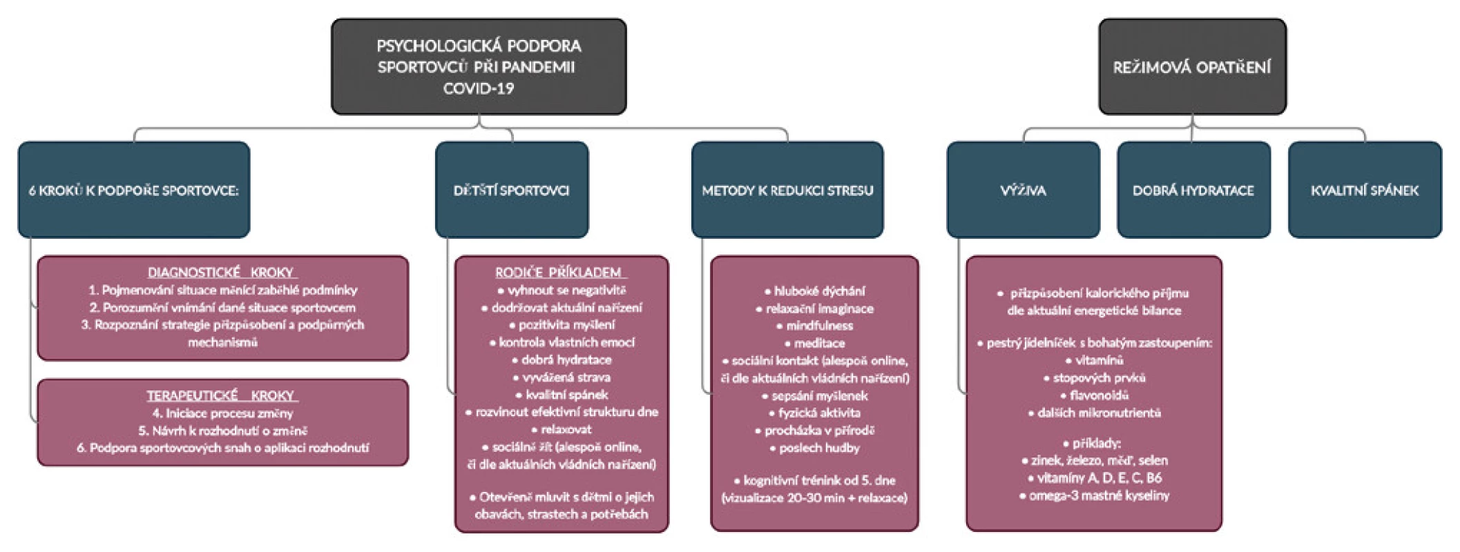 Časová osa při onemocnění covid-19 – Postup od pozitivního testu po návrat ke sportu
