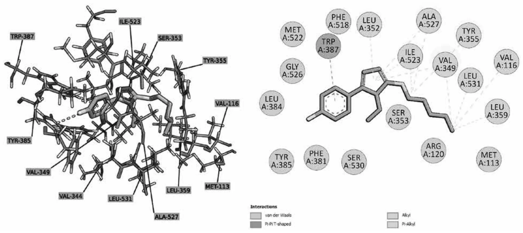  Graphical representation of the binding position and interaction of 2e with COX-1 cyclooxygenase