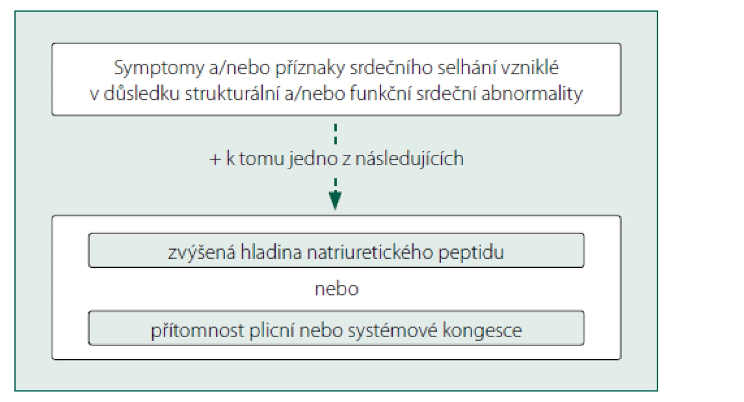Součásti diagnostiky srdečního selhání