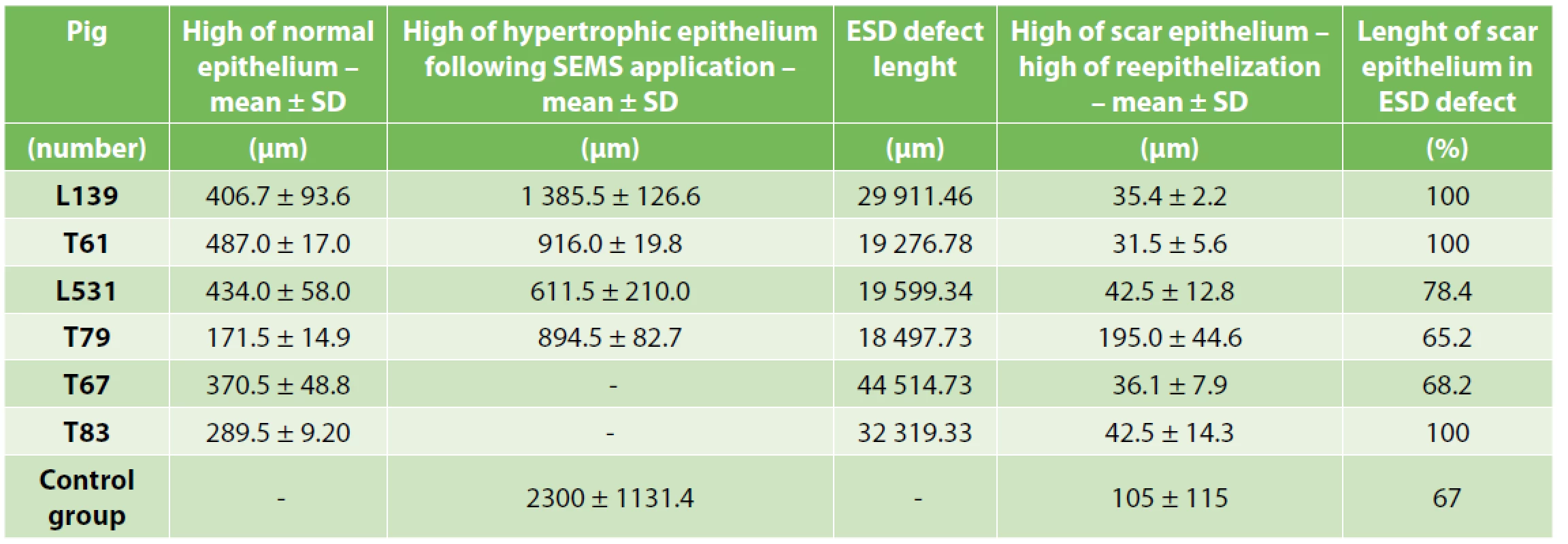 Post-CED defects and adjacent mucosal structures microscopic parameters