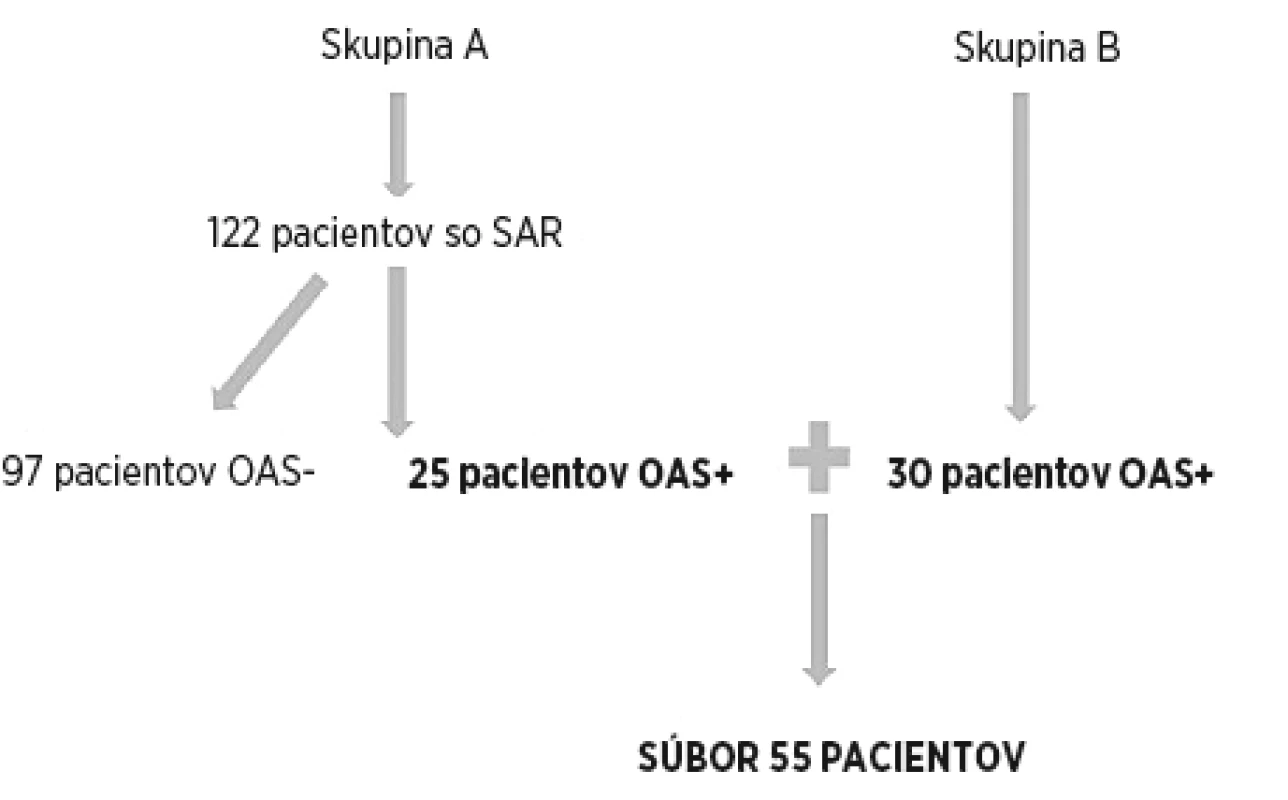 Algoritmus zostavenia súboru pacientov.
SAR – sezónna alergická rinitída, OAS – orálny alergický syndróm