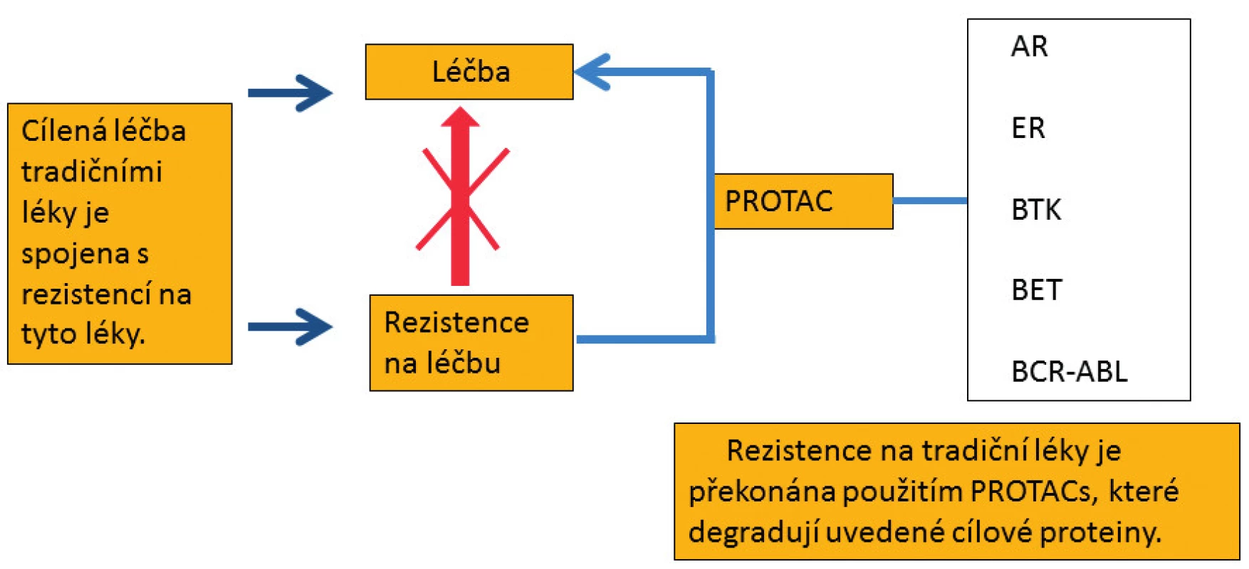 Molekuly PROTACs, které polyubikvitinují a následně degradují uvedené cílové proteiny
v proteazomu, překonávají rezistenci na tradiční léky.
AR – androgenní receptor, ER – estrogenní receptor, BTK – Brutonova tyrozinkináza, BET – proteiny
s bromo- a extraterminální doménou, BCR-ABL – fúzní onkoprotein tyrozinkináza, PROTAC – proteolysis
targeting chimera