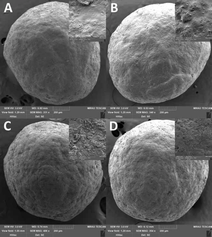 SEM photos of samples EC1.5 and EC1.5–15 stored at 25 °C/60% RH (A and B) and at 40 °C/75% RH (C and D) for 24
months. A detail of the surface is in the right upper corner of each SEM photo.