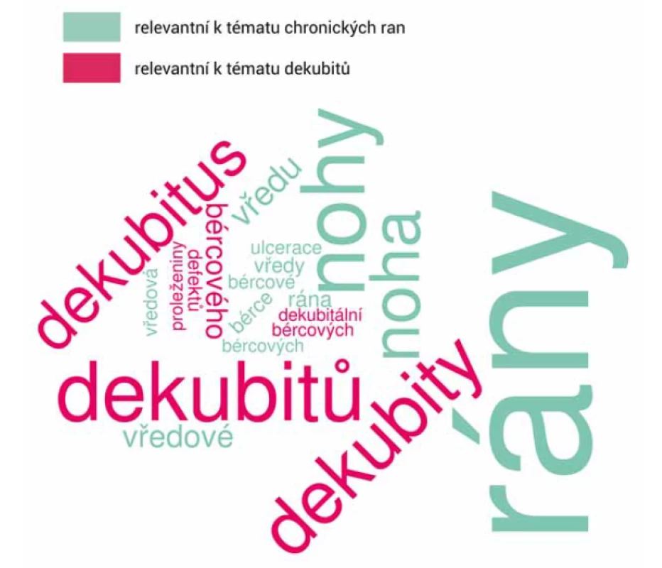 Mrak klíčových pojmů podle frekvence výskytu v kurikulu.<br>
Fig. 1. A cloud of key terms by frequency in the curriculum.
