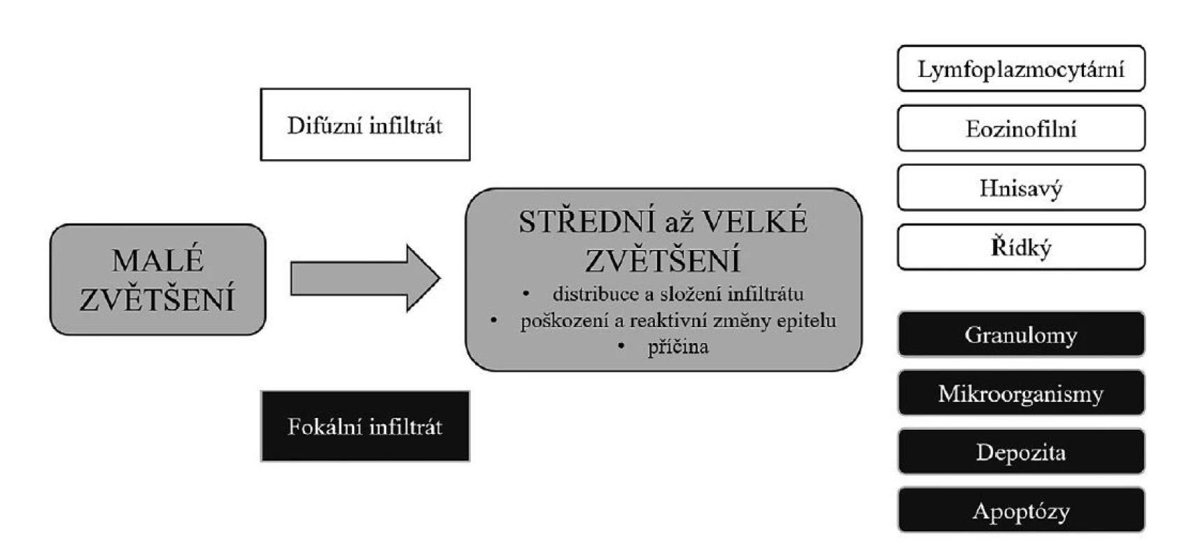 Přístup k hodnocení nenádorových biopsií žaludku