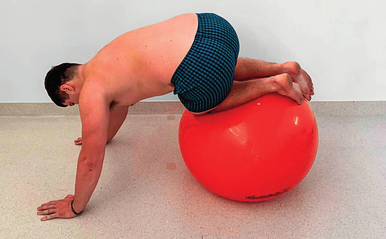 a, b, c a) Posilování a nácvik stability m.
quadriceps femoris, hamstringů v pozici klečmo s využitím
gymnastického míče – výchozí pozice. b) Posilování a nácvik
stability m. quadriceps femoris, hamstringů v pozici klečmo
s využitím gymnastického míče – fáze 1. c) Posilování a nácvik
stability m. quadriceps femoris, hamstringů v pozici klečmo
s využitím gymnastického míče – fáze 2.