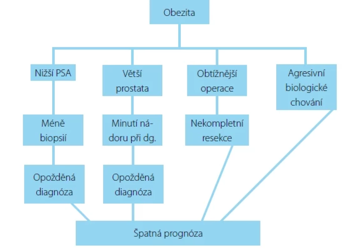 Hypotéza vzniku agresivnějšího karcinomu prostaty (převzato z Buschemeyer, 2007) <br> 
Fig. 1. Hypotheses for prostate cancer aggressivenes (according to Buschemeyer, 2007)