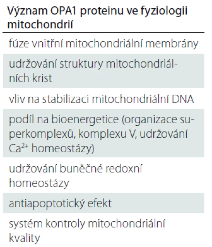 Fyziologická funkce
OPA1 proteinu.