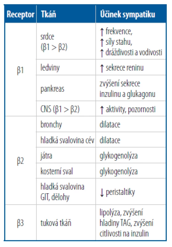Umístění betareceptorů ve tkáních,
účinek sympatiku na tyto receptory