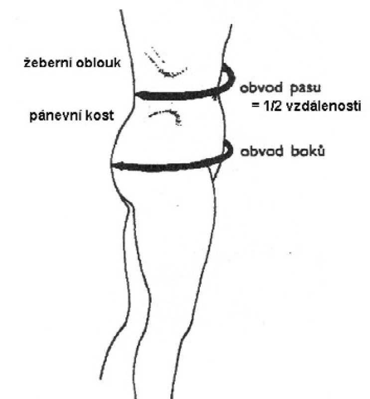 Měření obvodu pasu a boků 