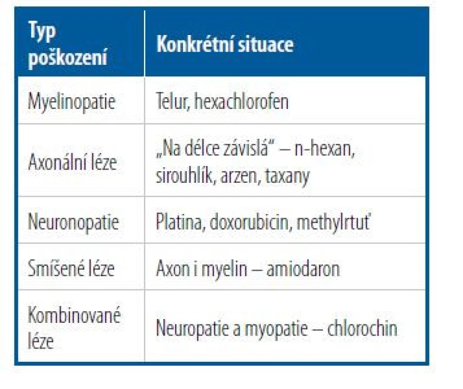 Typy poškození periferního
nervového systému
