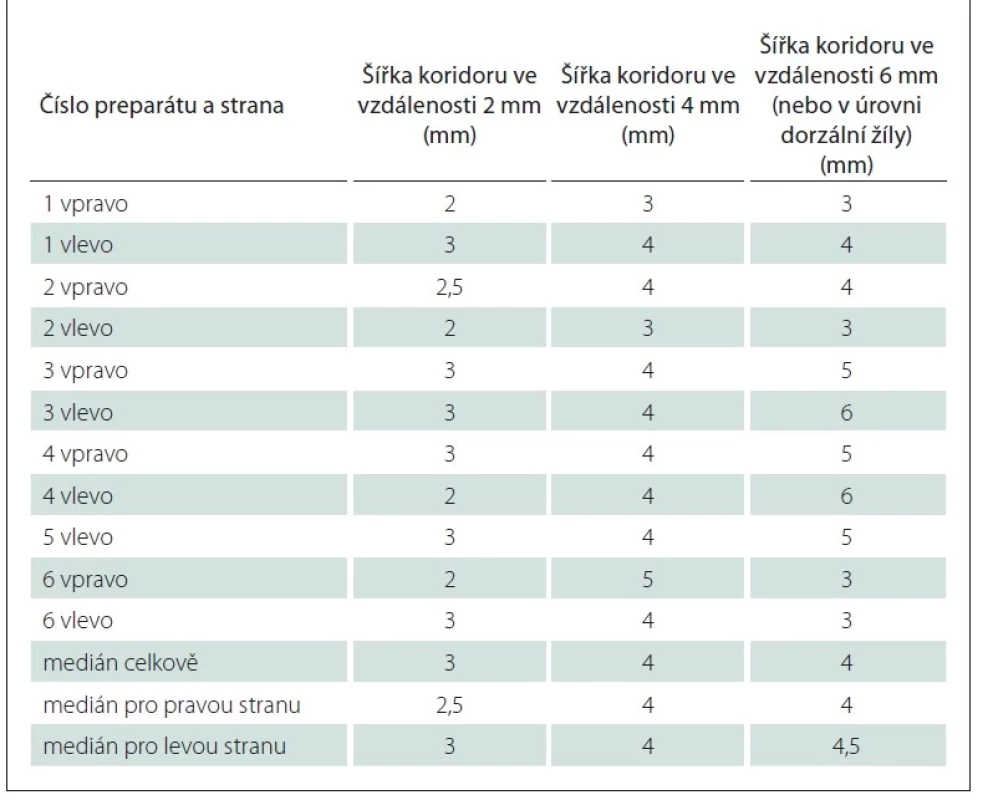 Kvantitativní měření koridoru pro implantaci elektrody.