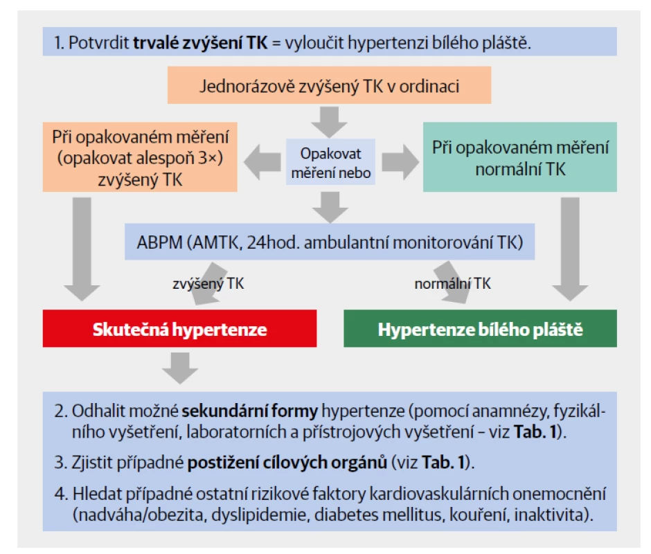 Algoritmus diagnostického postupu u mladého dospělého s hypertenzí v ordinaci.