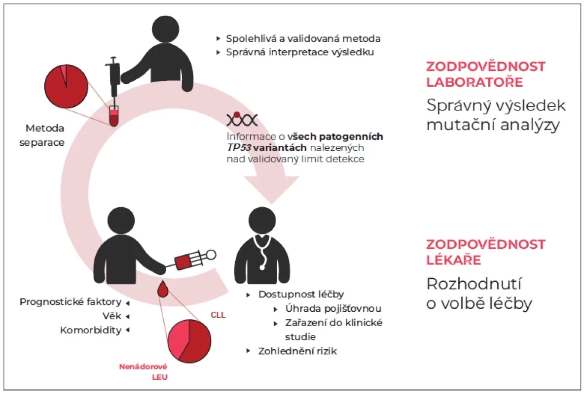 Rozdělení odpovědnosti při diagnostice CLL.