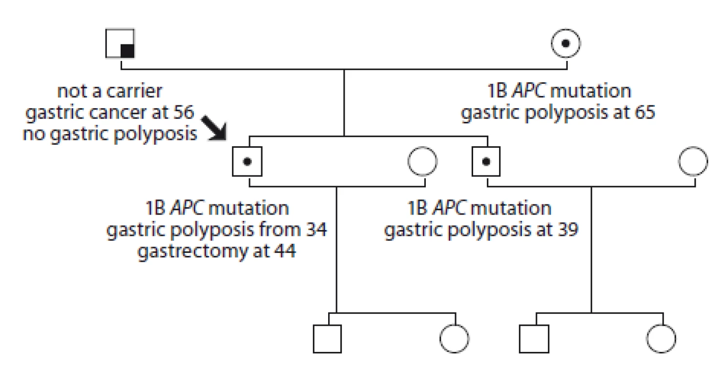 Pedigree of family no. 8 (Masaryk Memorial Cancer Institute).