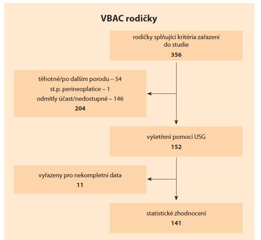 Schéma rodičky po předchozím císařském řezu zařazené ve studii.<br>
Fig. 1. Scheme of the mother after the previous caesarean section included in the
study.