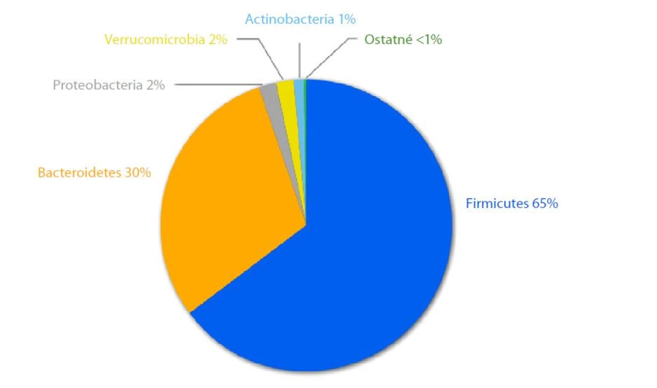 Distribúcia červeného mikrobiómu. Upravené podl'a (12)