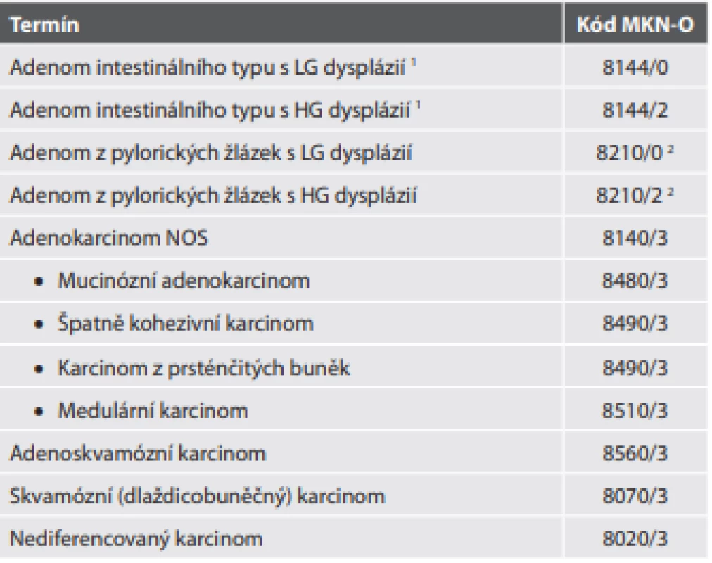 Epitelové nádory tenkého střeva mimo ampulu.