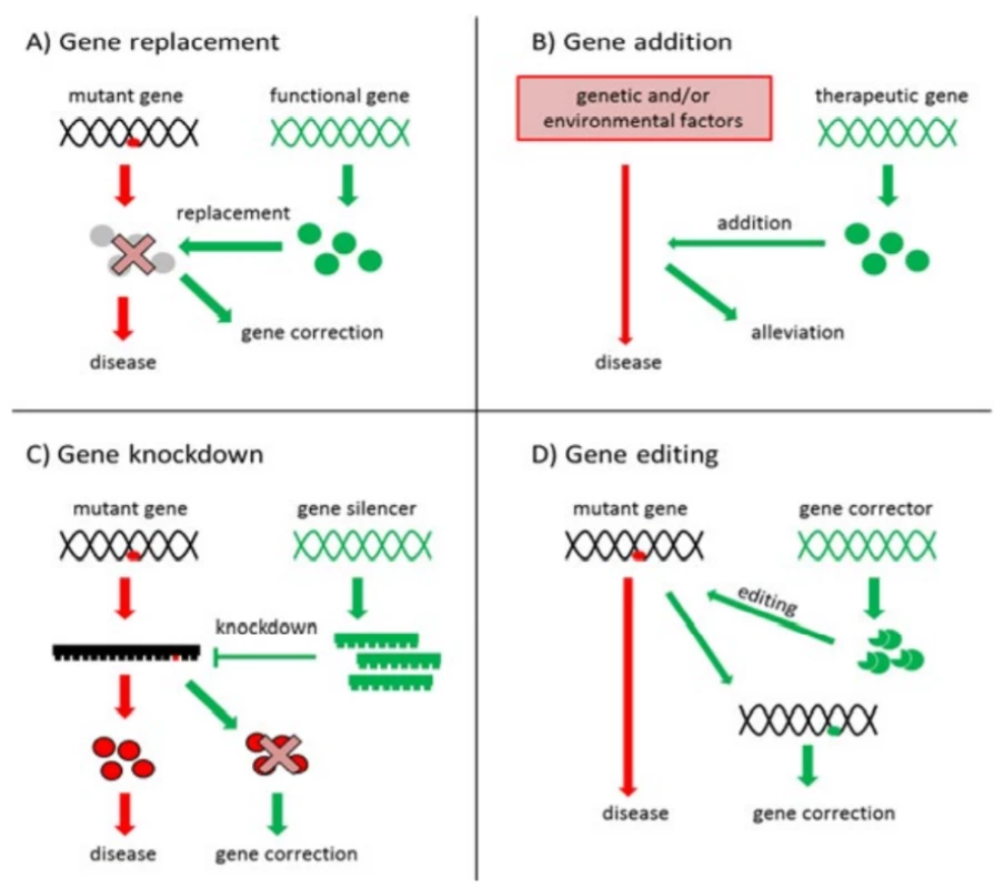 Strategies used in gene therapy [8,37]