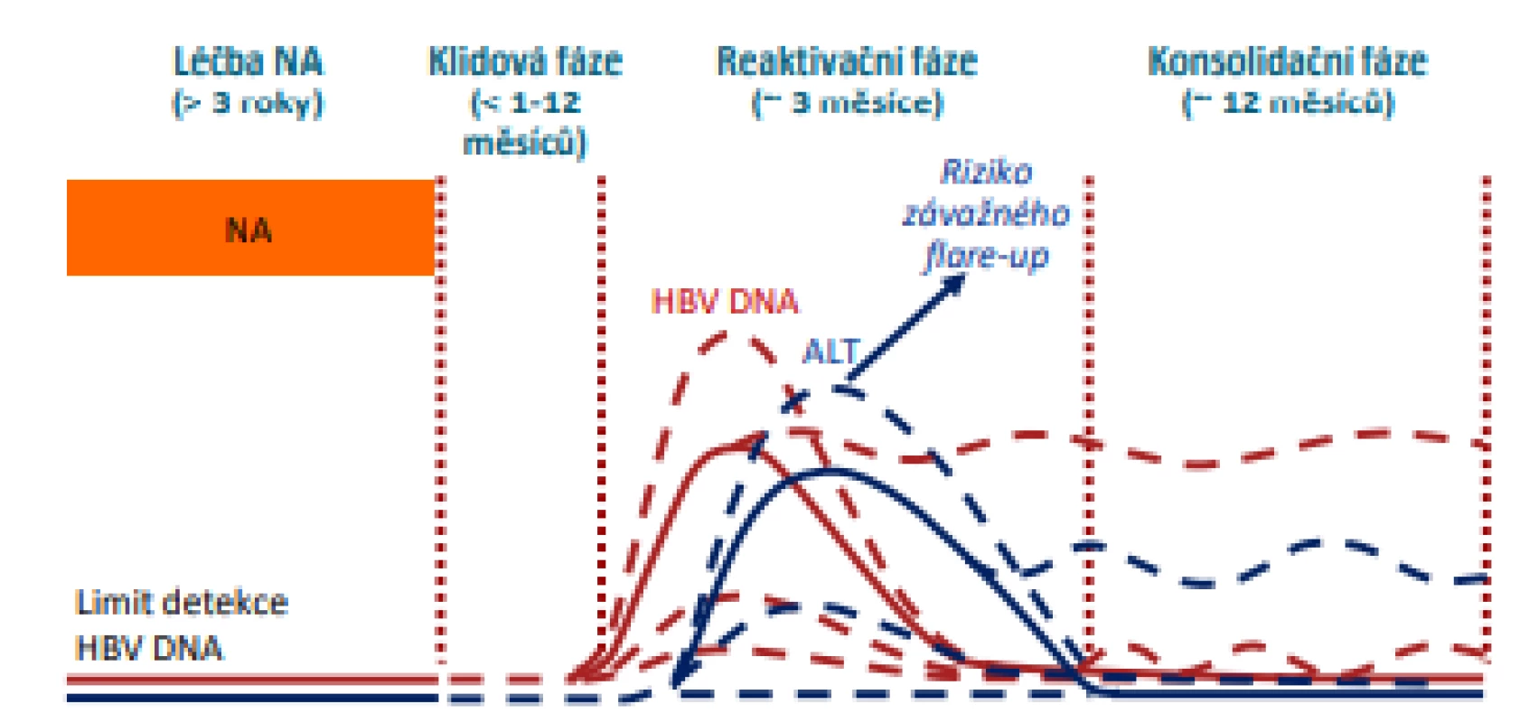 Typický průběh HBeAg-CHB po vysazení NA (6)