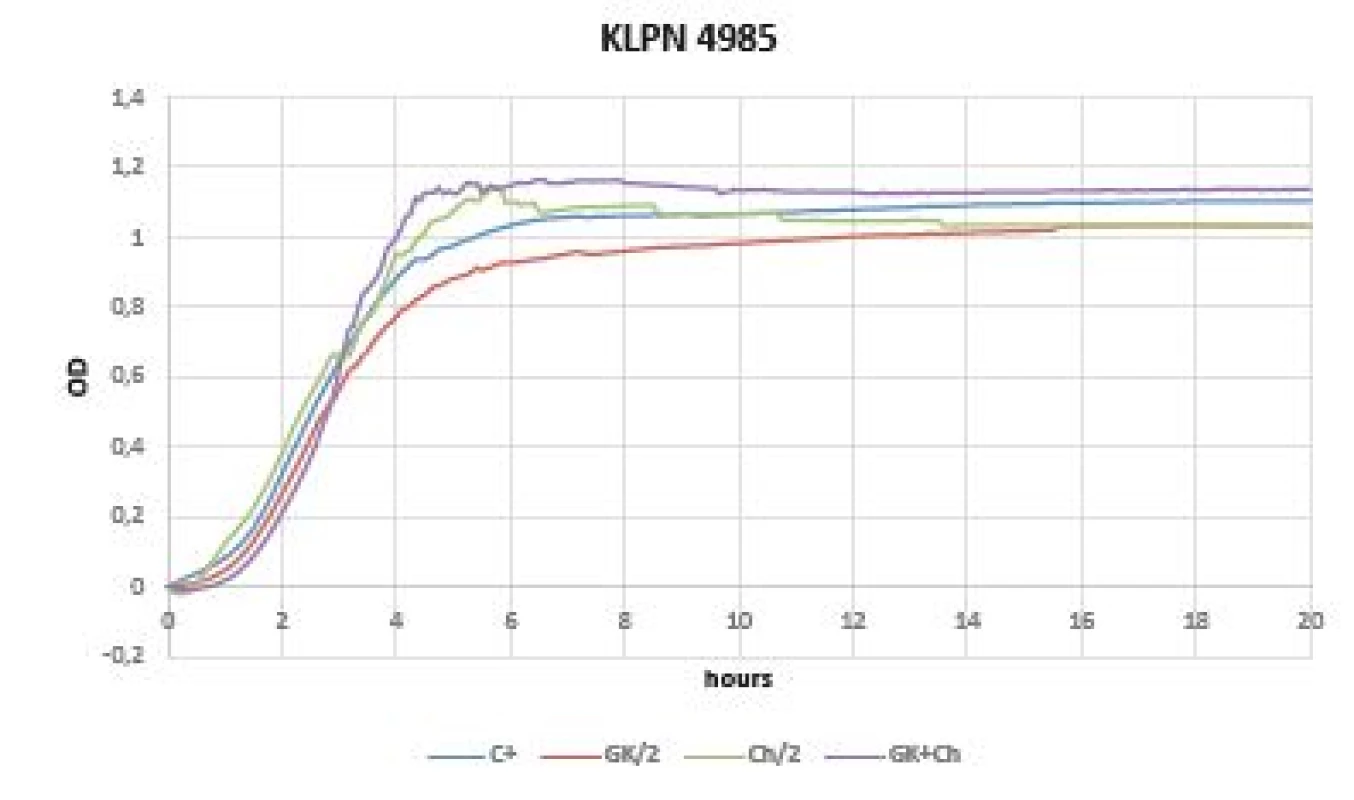 Optical density (OD) measurement dynamics within 20 hours
in <i>Klebsiella pneumoniae</i> CCM 4985 strain
Curves (C+ control, GK/2 Gum Karaya in double dilution, Ch/2
chitosan in double dilution, GK+Ch Gum Karaya and chitosan
mixture).