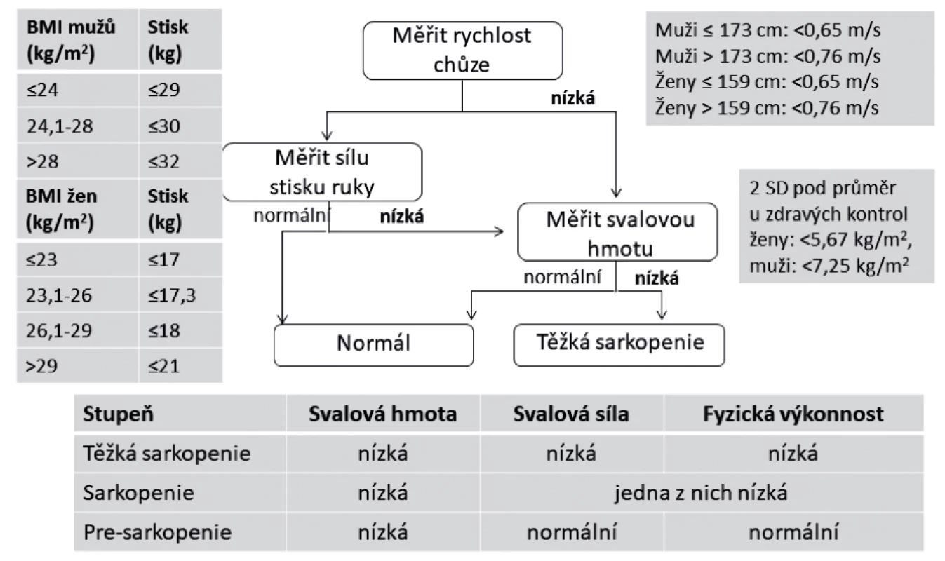 Hodnocení stupně sarkopenie. Podle [51].