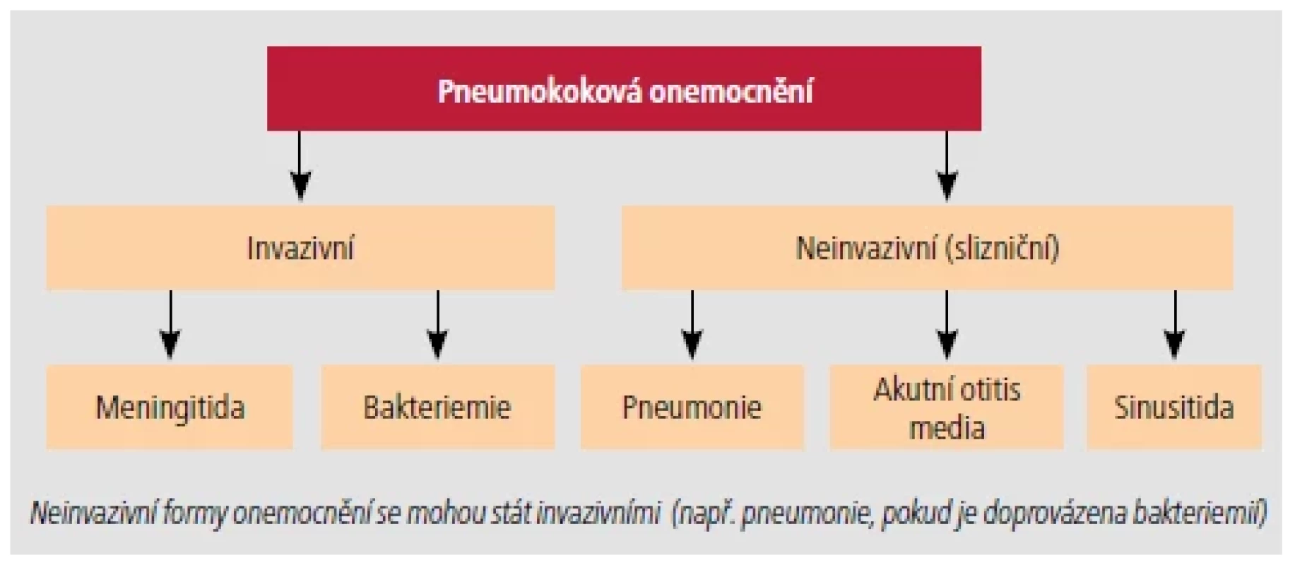 Klinické formy pneumokokových onemocnění. [Upraveno podle 4].