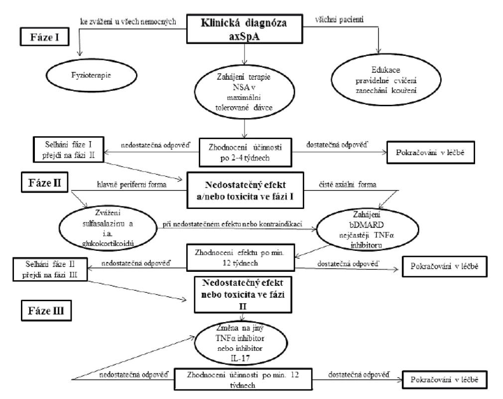 Doporučení pro léčbu axiální spondyloartritidy dle Evropské ligy proti revmatismu (EULAR)
a Mezinárodní společnosti pro hodnocení spondyloartritid (ASAS) z roku 2016<br>
axSpA – axiální spondyloartritida, NSA – nesteroidní antiflogistika, bDMARD – biologický chorobu
modifikující lék, TNF-α – tumor nekrotizující faktor alfa, IL-17 – interleukin 17, i.a. – intraartikulární