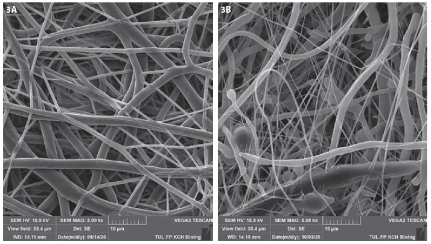 Scanning electron microscope images of electrospun materials PCL (3A) and PLCL (3B)