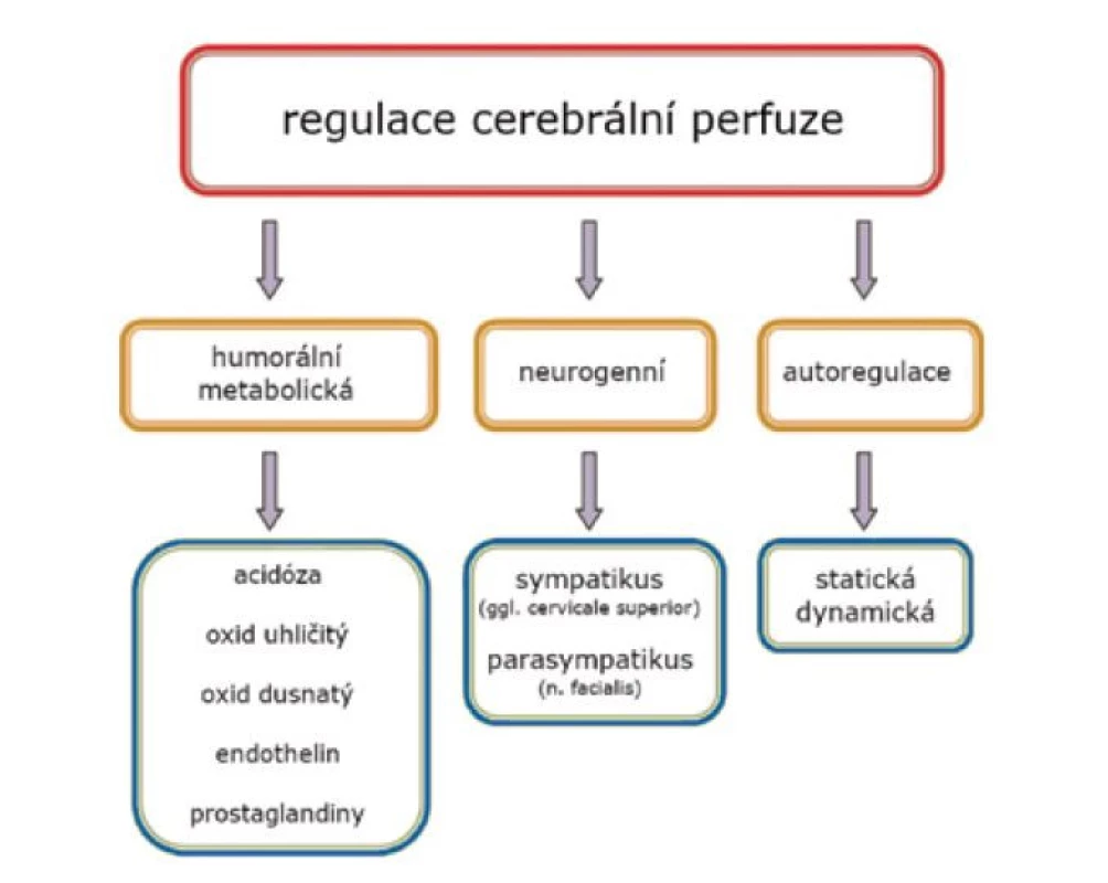 Regulační mechanismy průtoku krve mozkem