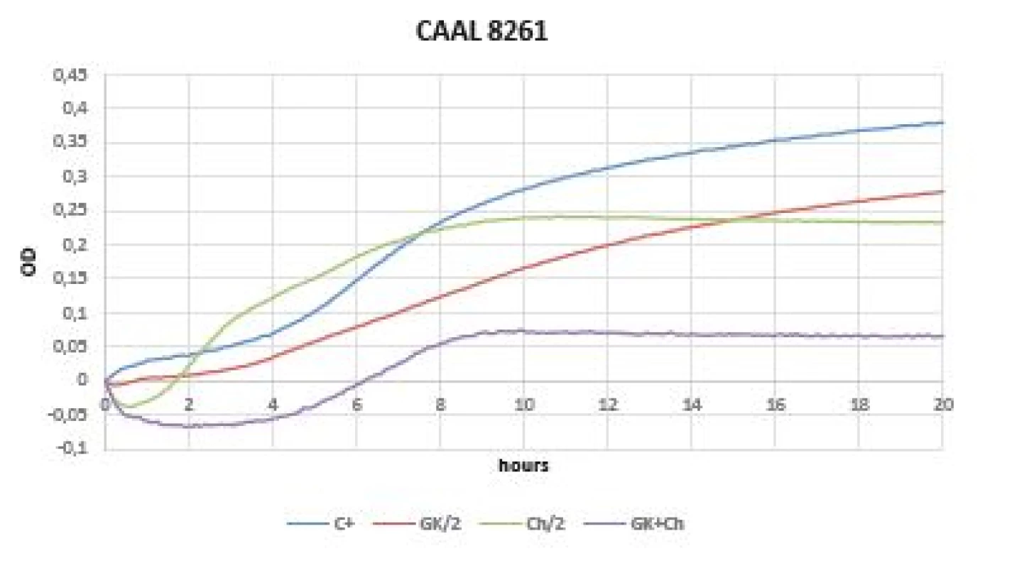 Optical density (OD) measurement dynamics within 20 hours
in <i>Candida albicans</i> CCM 8261 strain
Curves (C+ control, GK/2 Gum Karaya in double dilution, Ch/2
chitosan in double dilution, GK+Ch Gum Karaya and chitosan
mixture).