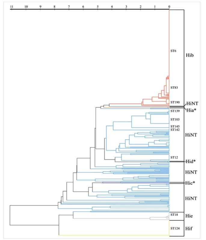 MLST analýza 388 kmenů H. influenzae<br>
Figure 6. MLST analysis of 388 H. influenzae strains
