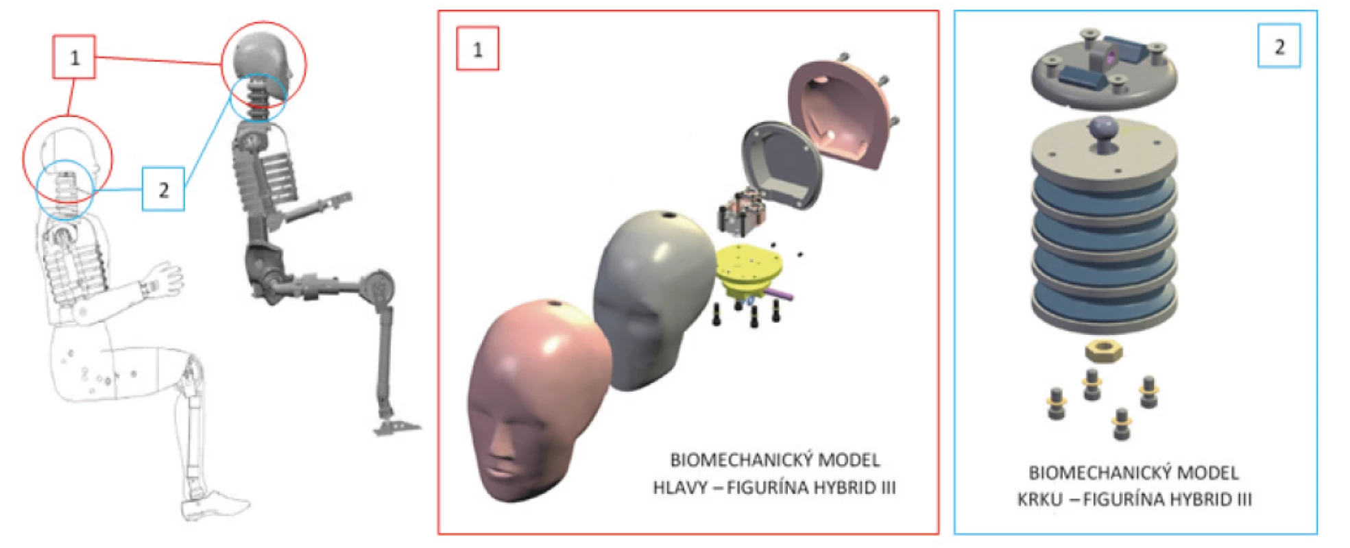 Konstrukční provedení stěžejních partií figuríny Hybrid III – partie využívané v rámci experimentálního měření [1]