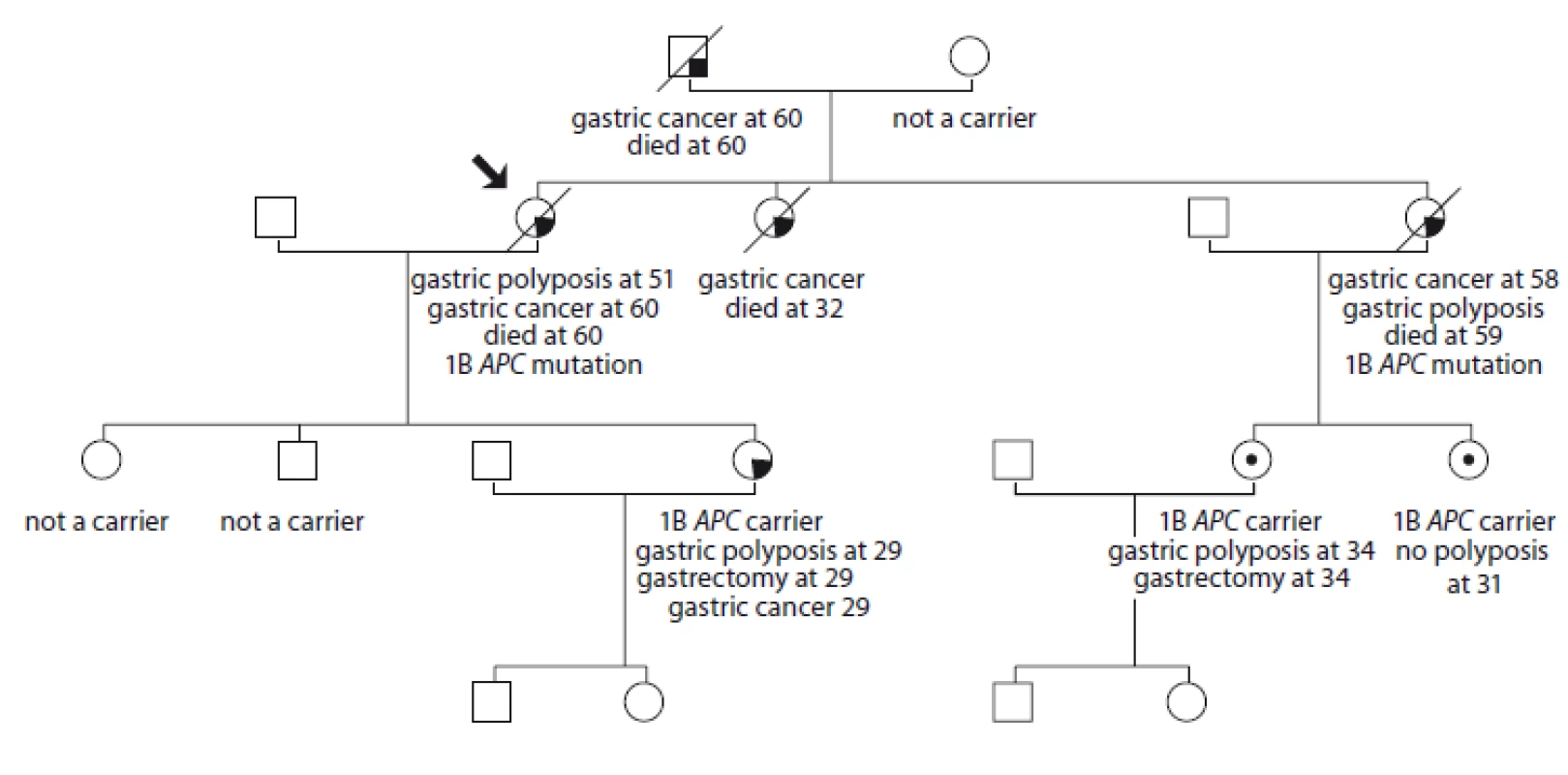 Pedigree of family no. 2 (Masaryk Memorial Cancer Institute).