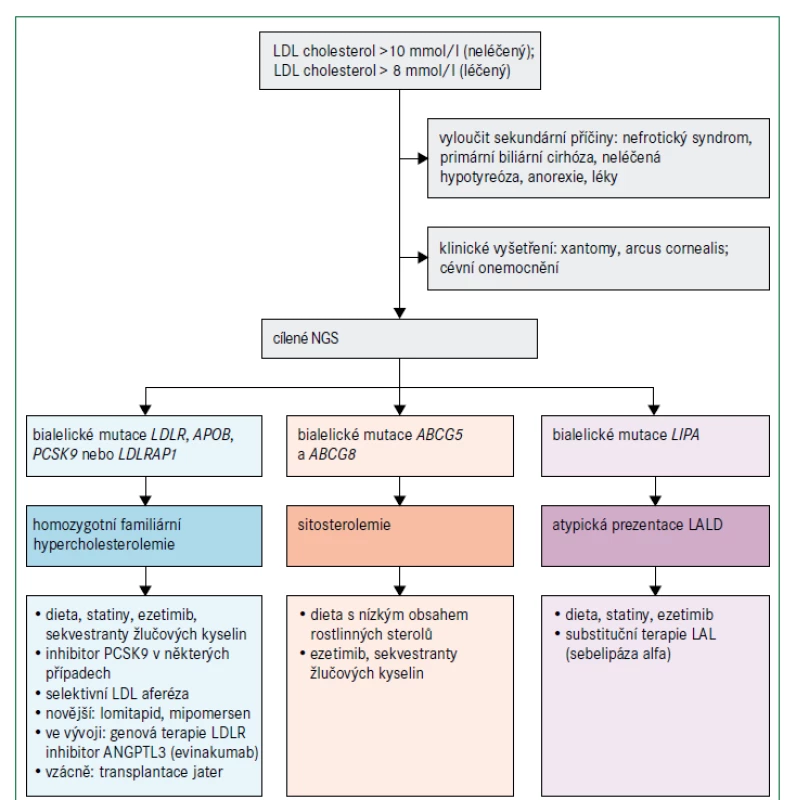 Algoritmus pro diagnostickou a léčebnou rozvahu u poruch lipoproteinů s velmi vysokou hladinou LDL cholesterolu